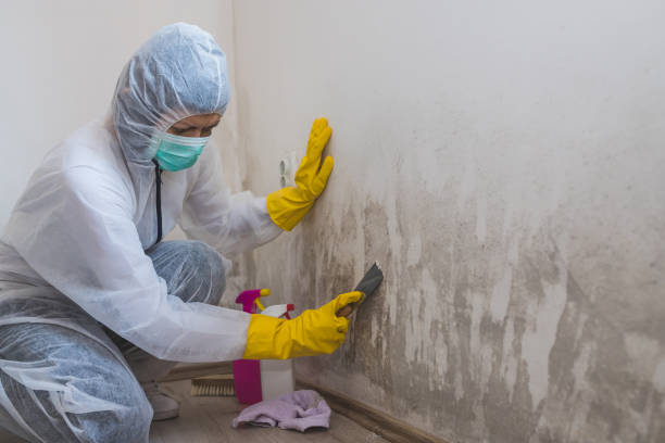 Best Industrial Mold Remediation  in Fultonde, AL