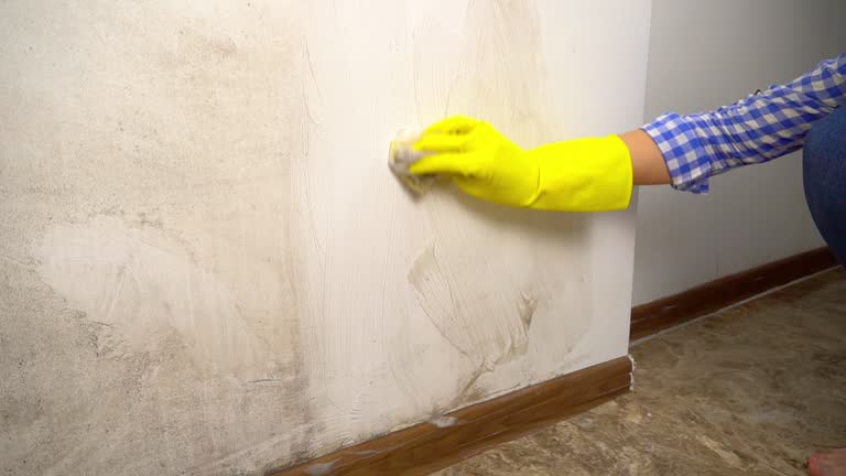 Best Mold Odor Removal Services  in Fultonde, AL