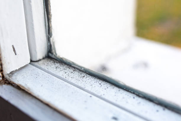 Best Real Estate Mold Inspection  in Fultonde, AL