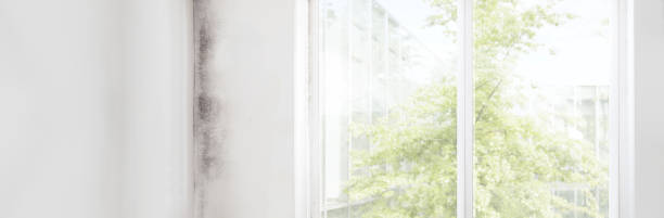 Best Dehumidification Services  in Fultonde, AL