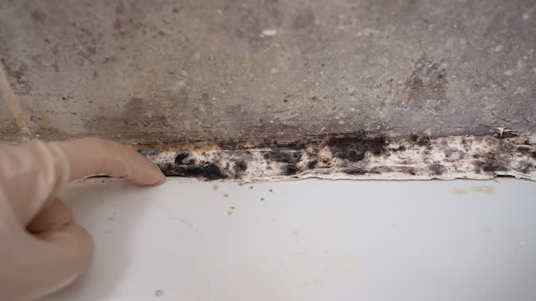 Best Air Quality Testing for Mold Spores  in Fultonde, AL